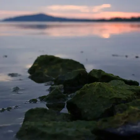 Emma * バラトンフェニヴェシュ