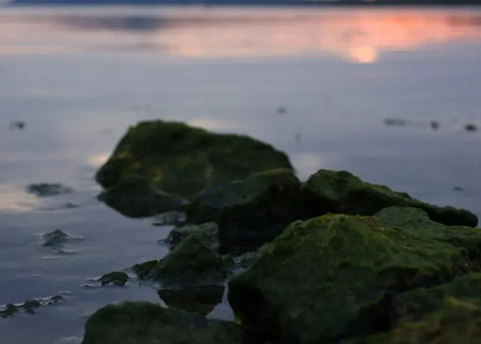 Emma * 발라톤페니베스